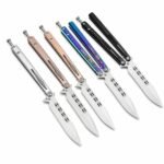 Dream Butterfly Flipper Knife
